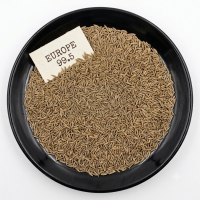 Cumin Europe Quality