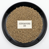 Cumin Singapore Quality