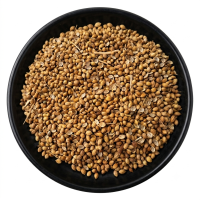 Coriander Badami