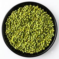Coriander – Parrot