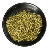 Coriander Scooter