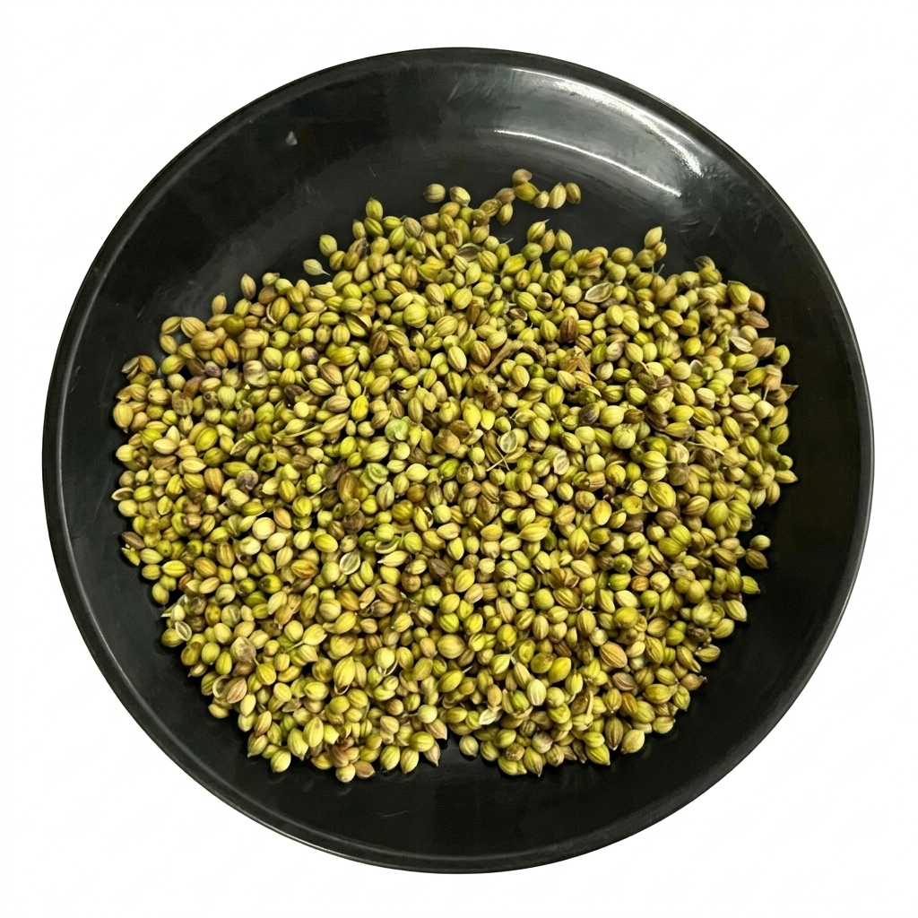 Coriander Scooter