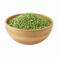 Coriander – Parrot