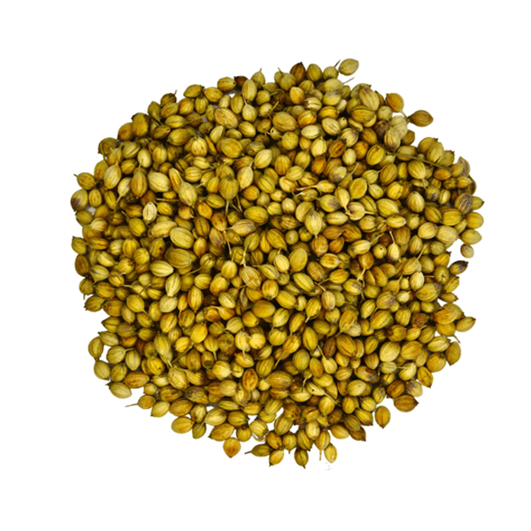 Coriander – Parrot