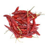 Sannam Chilli