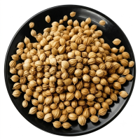 Coriander – Eagle