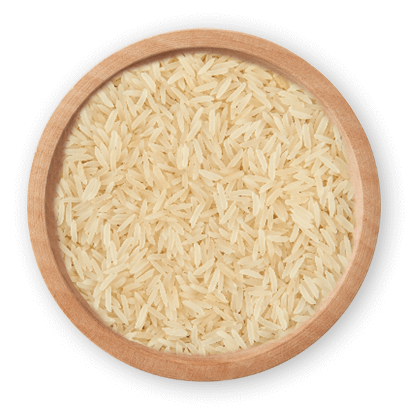 SHARBATI CREAM SELLA