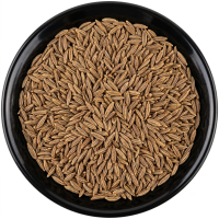Cumin Extra Bold